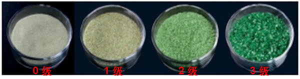 1646475053317759.jpg 圖片7.jpg