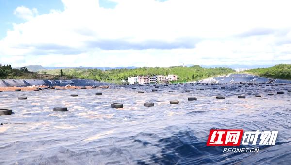 1660544981568655.jpeg 2.jpeg