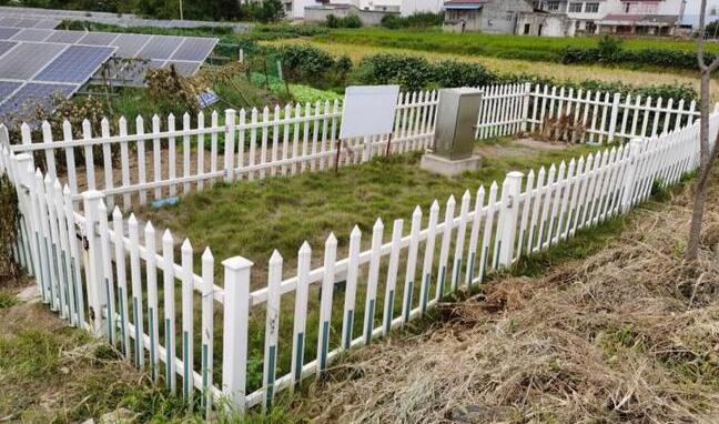 1669617411670795.jpg 1.jpg