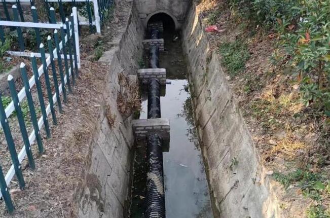 1669617418447527.jpg 2.jpg