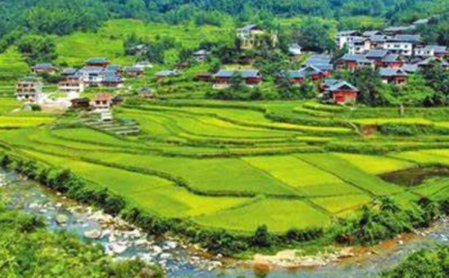 四川蒼溪縣：農(nóng)村污水治理的探索與成就