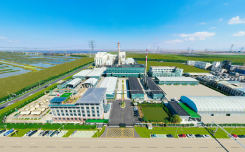 寧波生態(tài)盛會：鎮(zhèn)海區(qū)榮獲三星無廢城市殊榮